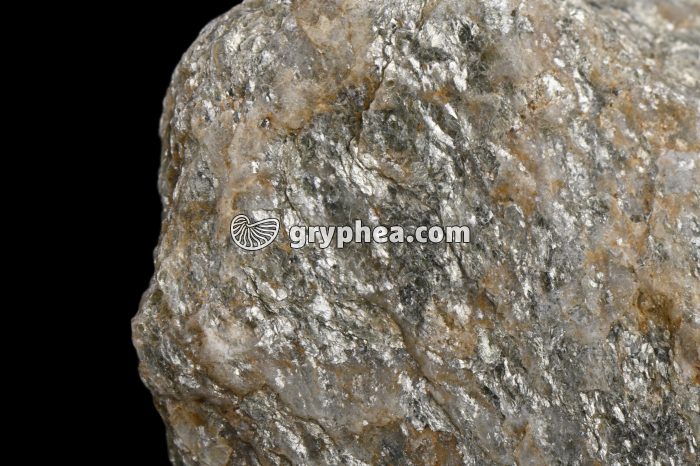 Micaschiste - détail - gryphea.com